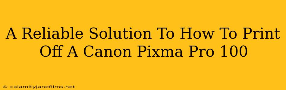 A Reliable Solution To How To Print Off A Canon Pixma Pro 100