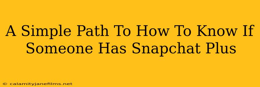 A Simple Path To How To Know If Someone Has Snapchat Plus