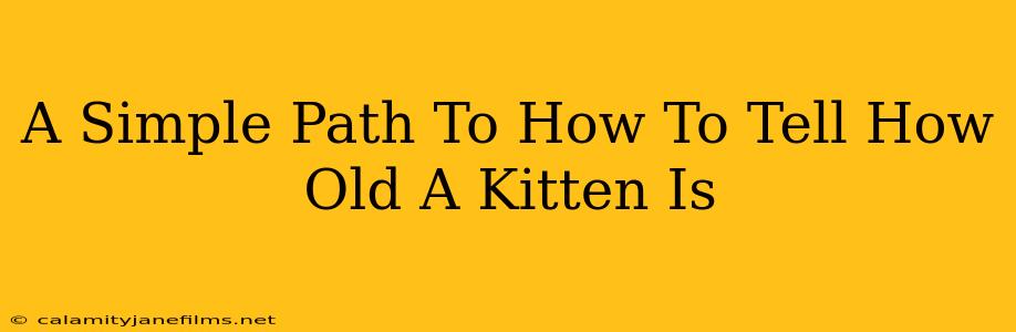 A Simple Path To How To Tell How Old A Kitten Is