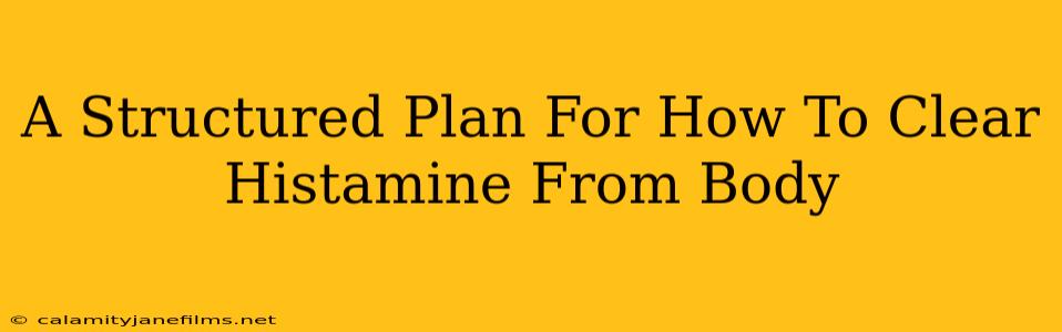 A Structured Plan For How To Clear Histamine From Body