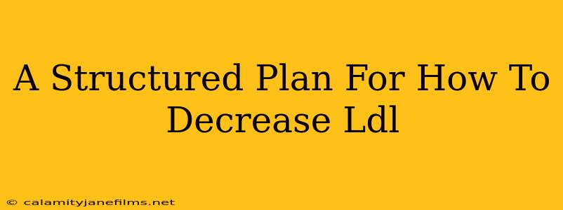 A Structured Plan For How To Decrease Ldl