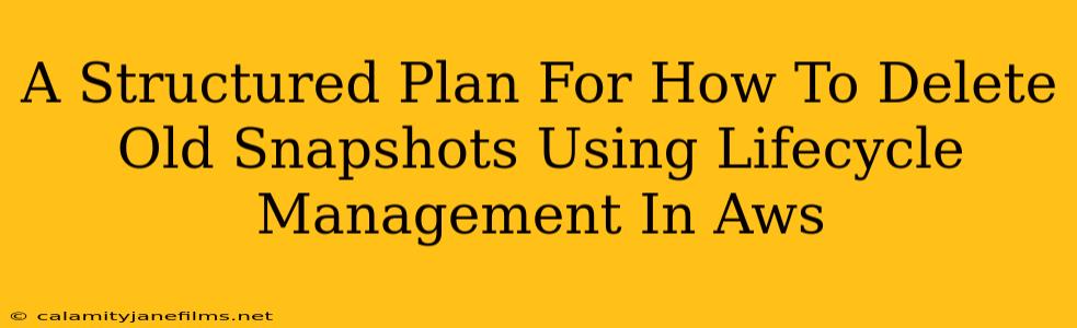 A Structured Plan For How To Delete Old Snapshots Using Lifecycle Management In Aws