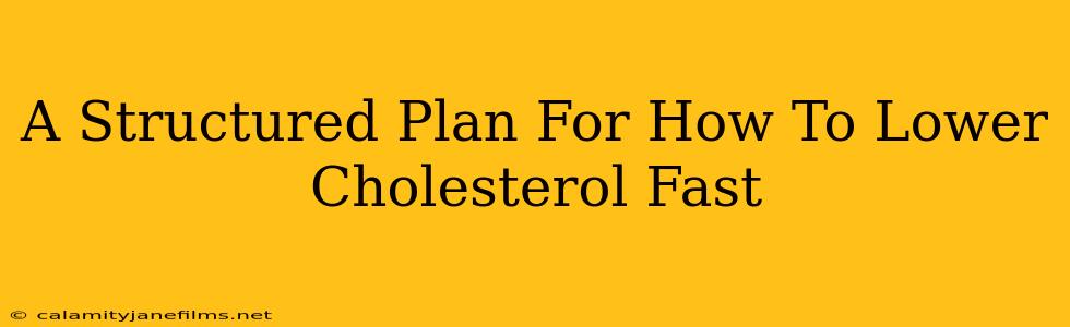 A Structured Plan For How To Lower Cholesterol Fast