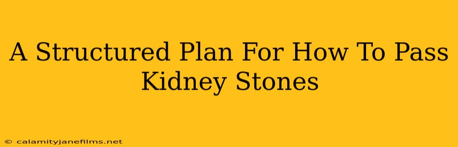 A Structured Plan For How To Pass Kidney Stones