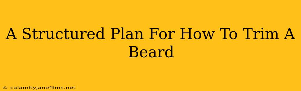 A Structured Plan For How To Trim A Beard