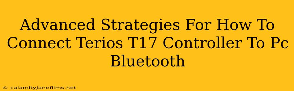 Advanced Strategies For How To Connect Terios T17 Controller To Pc Bluetooth