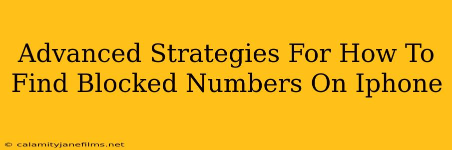 Advanced Strategies For How To Find Blocked Numbers On Iphone