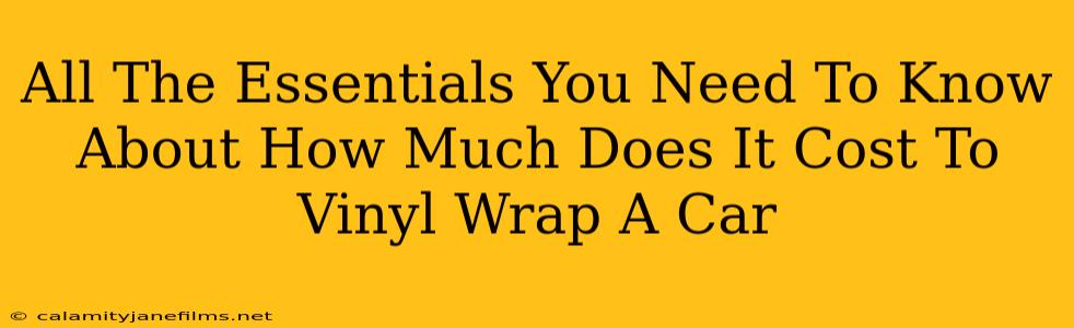 All The Essentials You Need To Know About How Much Does It Cost To Vinyl Wrap A Car