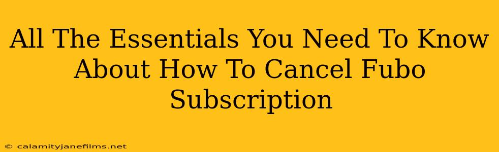 All The Essentials You Need To Know About How To Cancel Fubo Subscription