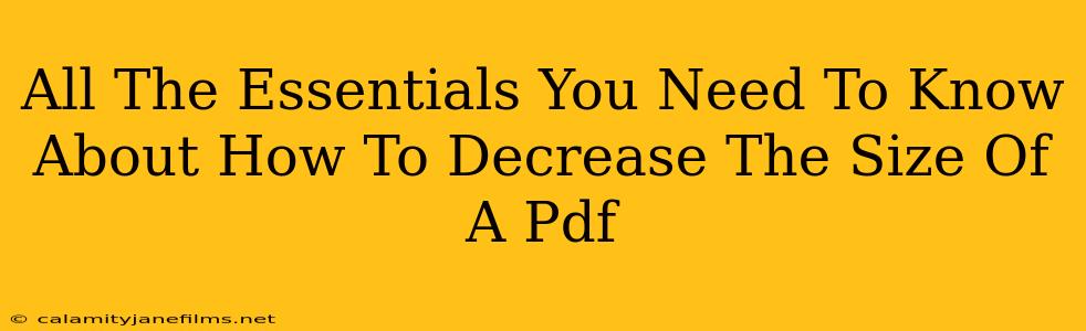 All The Essentials You Need To Know About How To Decrease The Size Of A Pdf