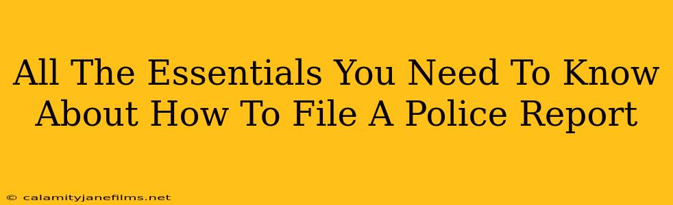 All The Essentials You Need To Know About How To File A Police Report