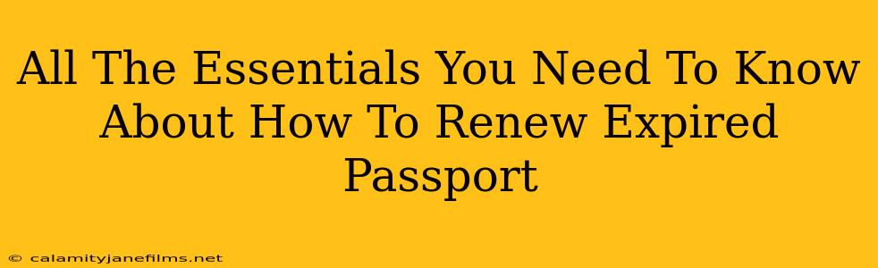 All The Essentials You Need To Know About How To Renew Expired Passport