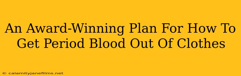 An Award-Winning Plan For How To Get Period Blood Out Of Clothes