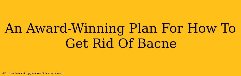 An Award-Winning Plan For How To Get Rid Of Bacne