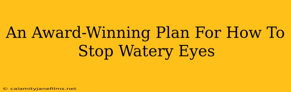 An Award-Winning Plan For How To Stop Watery Eyes