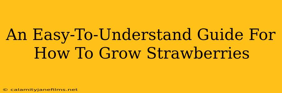 An Easy-To-Understand Guide For How To Grow Strawberries