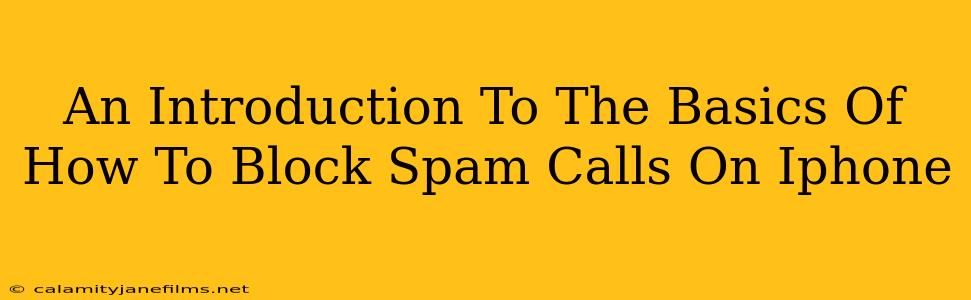 An Introduction To The Basics Of How To Block Spam Calls On Iphone