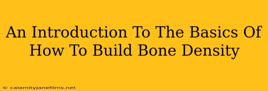 An Introduction To The Basics Of How To Build Bone Density