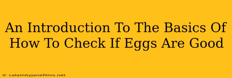 An Introduction To The Basics Of How To Check If Eggs Are Good