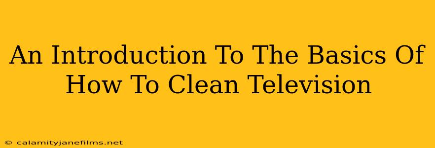 An Introduction To The Basics Of How To Clean Television