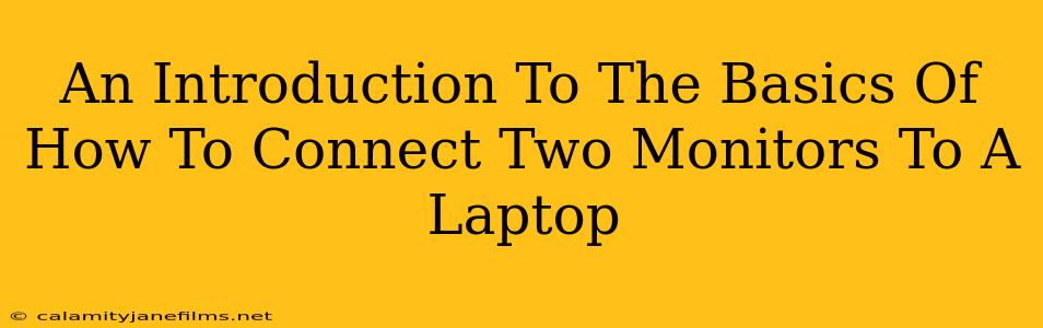 An Introduction To The Basics Of How To Connect Two Monitors To A Laptop