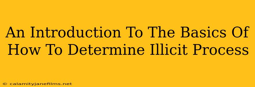 An Introduction To The Basics Of How To Determine Illicit Process