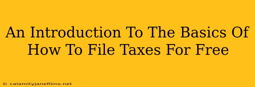 An Introduction To The Basics Of How To File Taxes For Free