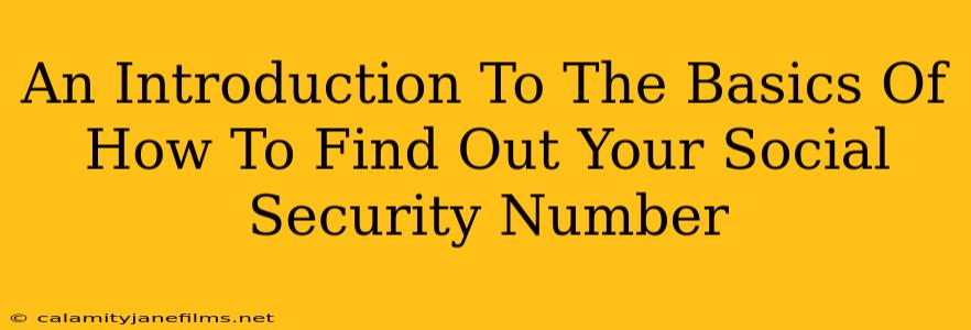 An Introduction To The Basics Of How To Find Out Your Social Security Number