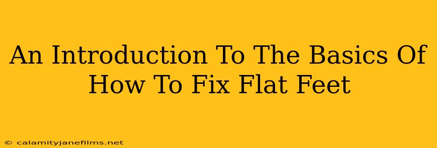 An Introduction To The Basics Of How To Fix Flat Feet