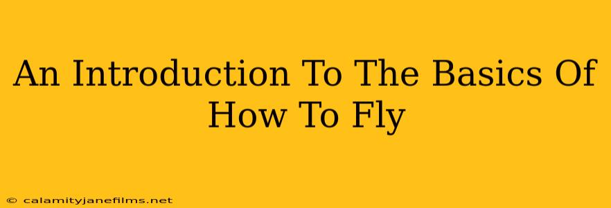 An Introduction To The Basics Of How To Fly