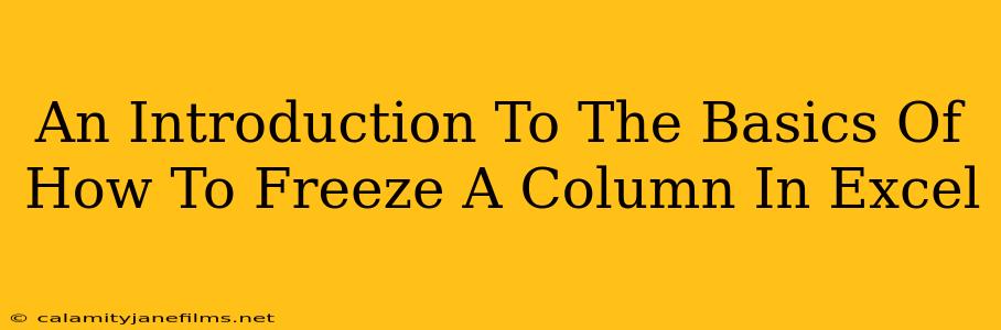 An Introduction To The Basics Of How To Freeze A Column In Excel