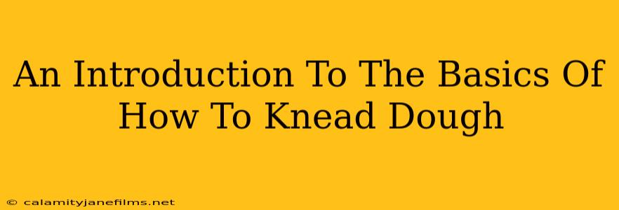 An Introduction To The Basics Of How To Knead Dough