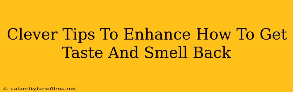 Clever Tips To Enhance How To Get Taste And Smell Back