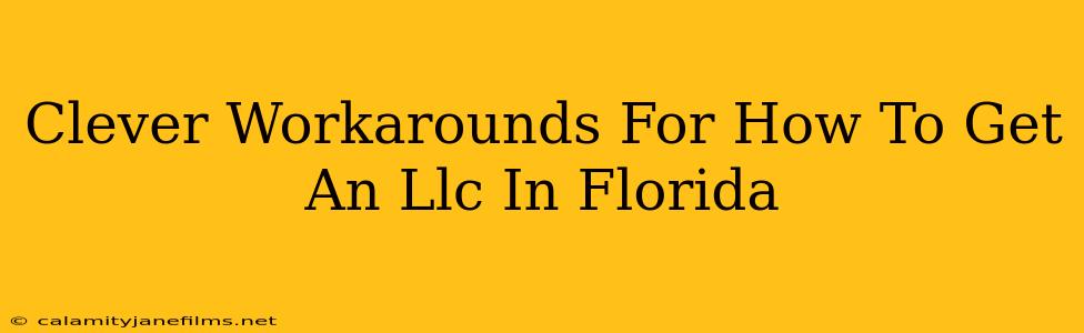 Clever Workarounds For How To Get An Llc In Florida