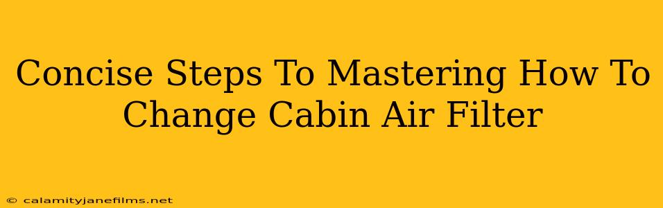 Concise Steps To Mastering How To Change Cabin Air Filter