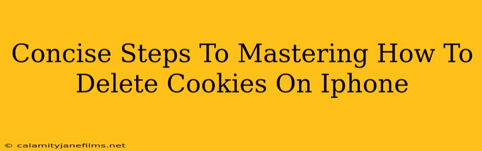 Concise Steps To Mastering How To Delete Cookies On Iphone