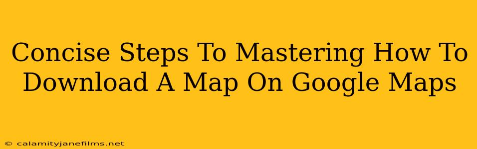 Concise Steps To Mastering How To Download A Map On Google Maps