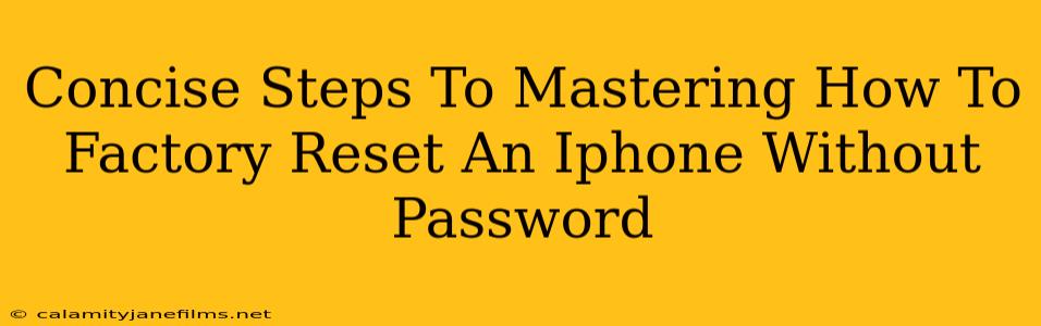 Concise Steps To Mastering How To Factory Reset An Iphone Without Password