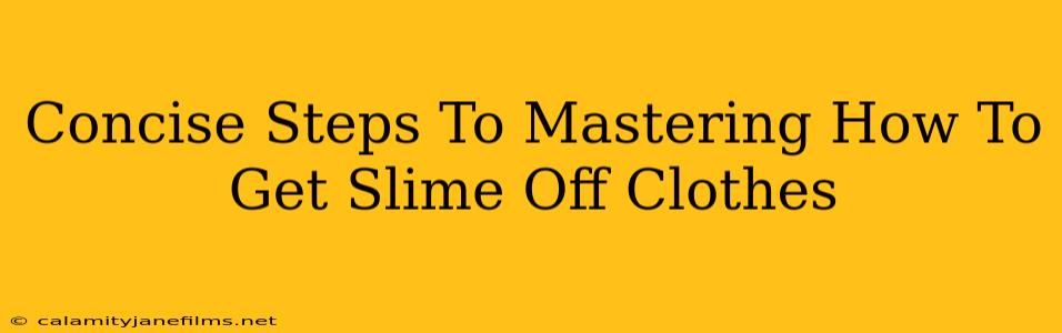 Concise Steps To Mastering How To Get Slime Off Clothes