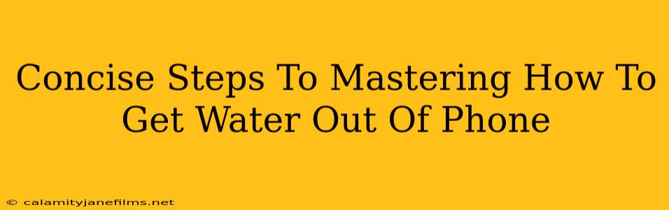 Concise Steps To Mastering How To Get Water Out Of Phone