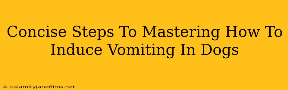 Concise Steps To Mastering How To Induce Vomiting In Dogs