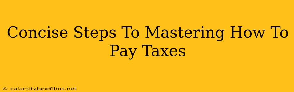 Concise Steps To Mastering How To Pay Taxes