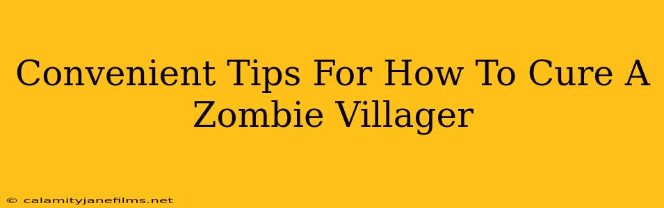 Convenient Tips For How To Cure A Zombie Villager