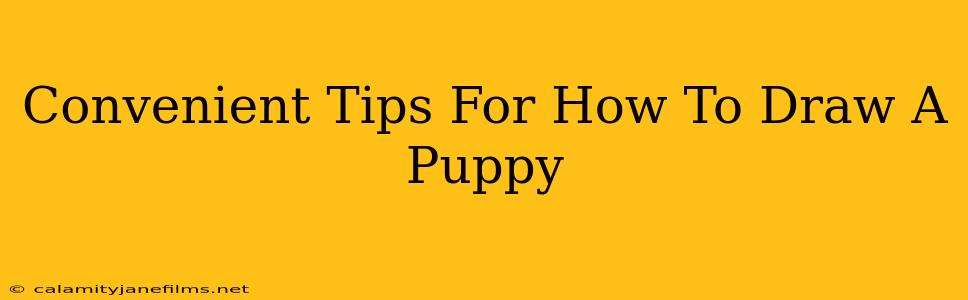 Convenient Tips For How To Draw A Puppy