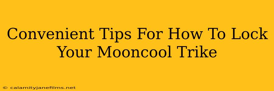 Convenient Tips For How To Lock Your Mooncool Trike