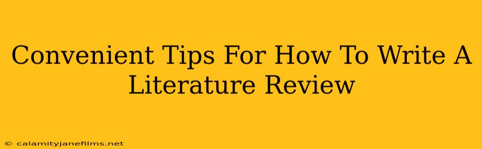 Convenient Tips For How To Write A Literature Review