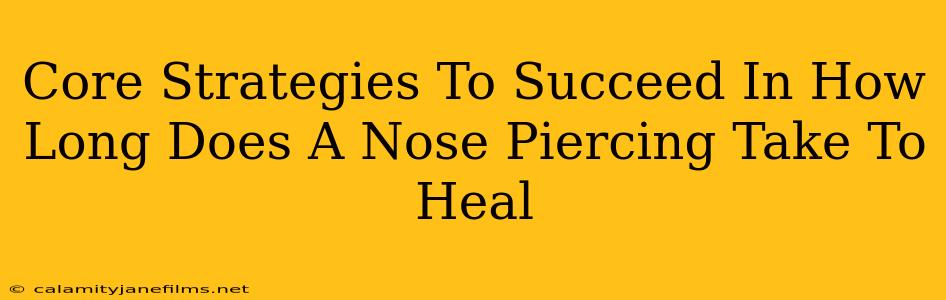 Core Strategies To Succeed In How Long Does A Nose Piercing Take To Heal