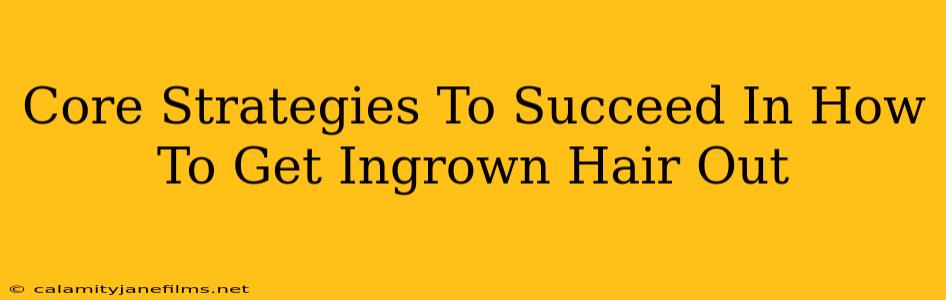 Core Strategies To Succeed In How To Get Ingrown Hair Out