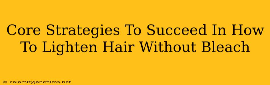 Core Strategies To Succeed In How To Lighten Hair Without Bleach