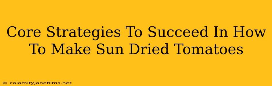 Core Strategies To Succeed In How To Make Sun Dried Tomatoes